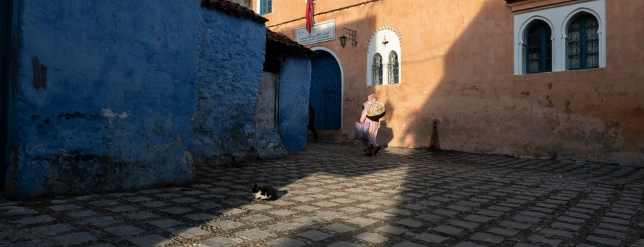 Django Adventure: the new edition of a one-of-a-kind scooter roadtrip