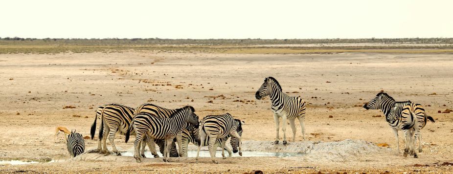 Interview: Pascal, a 4x4 roadtrip specialist in Namibia