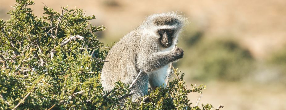 The Most Beautiful Road of the Week: Chapman’s Peak Drive, South Africa