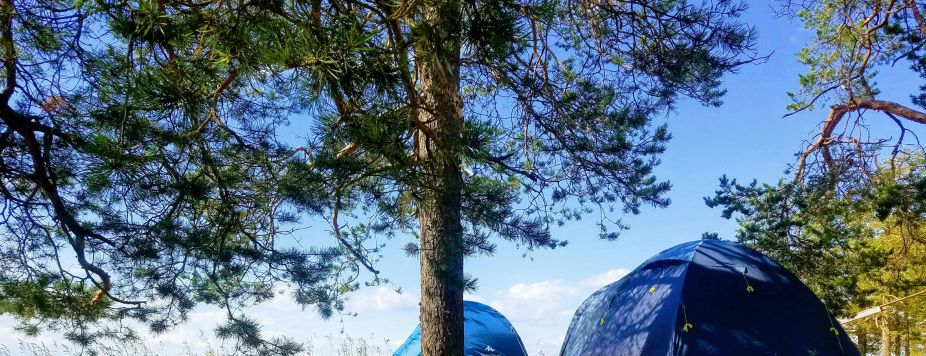 Interview: Pierre-Emmanuel, the campervan roadtrip specialist