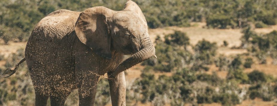 Africa: Unusual Landscapes to Ride
