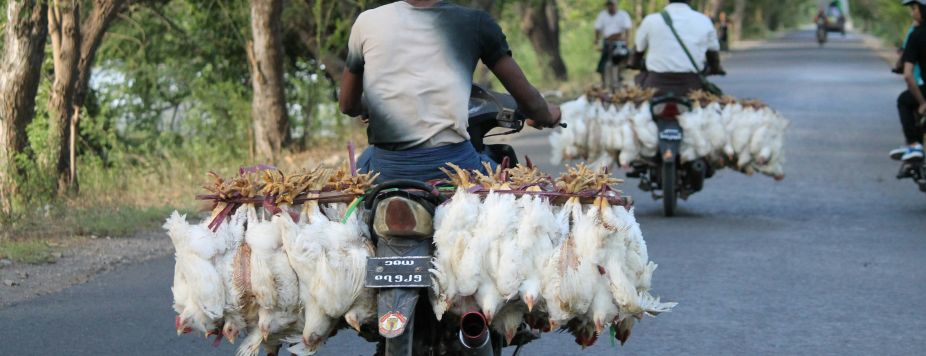 Django Adventure – Episode 5: Riding Across Myanmar