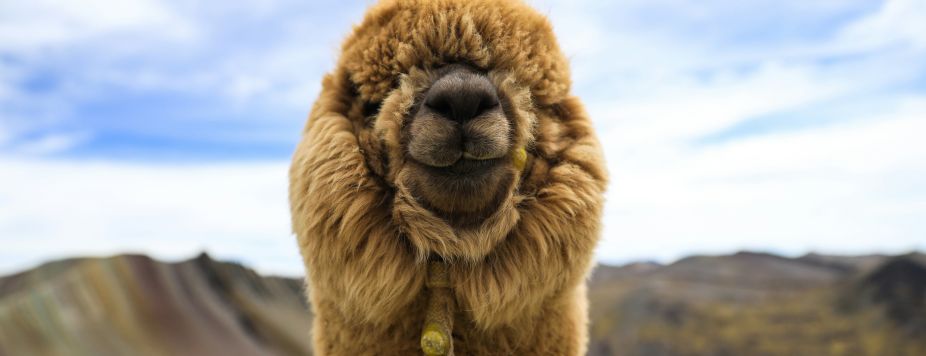 4 Epic Motorcycle Itineraries to Conquer Latin America