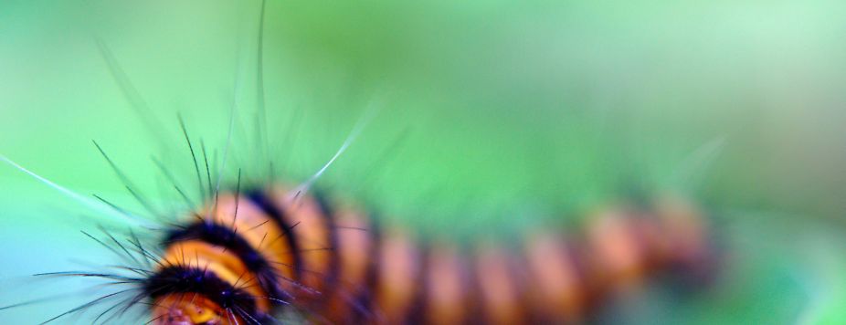 Fabrice’s Initiatory Motorcycle Roadtrip Across West Africa