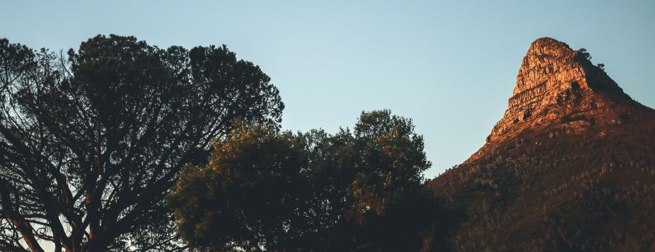 Le B-A.BA du safari en Afrique du Sud