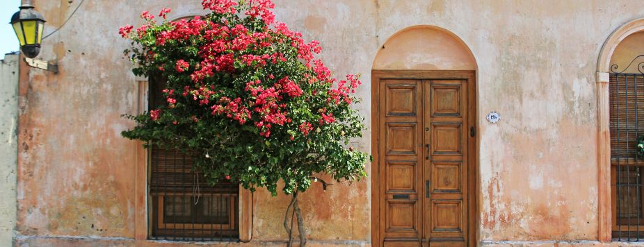 L’Oiseau Rouge takes off on October 3: South America by motorcycle