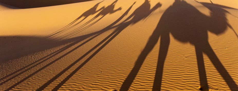 Planet Ride Supports Mad Quad for the Rallye Aïcha des Gazelles