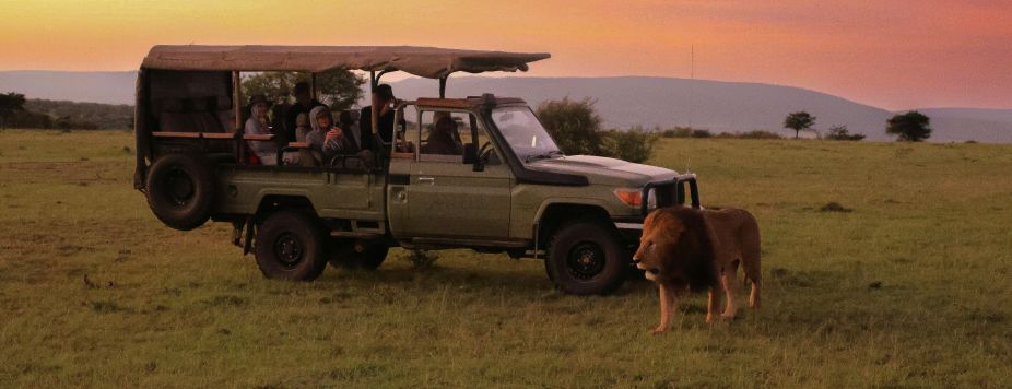Top 7 Safaris You Should Do at Least Once in Your Life (2026 Edition)