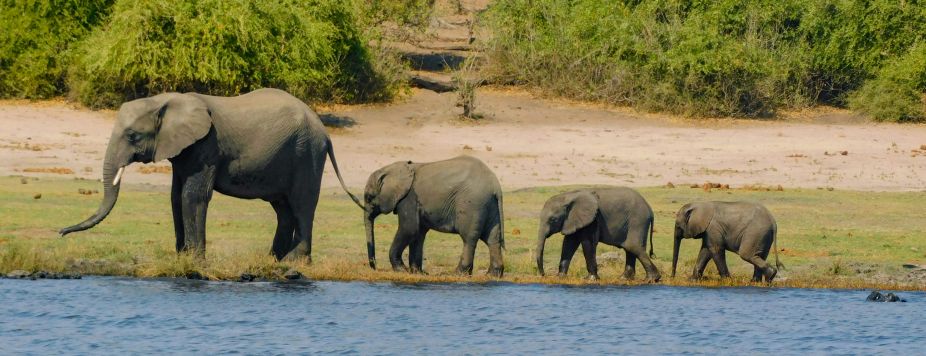 Fred Takes You Riding: A Kenya Motorcycle Trip