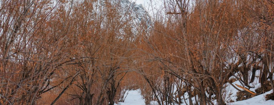 Top 6 Snowmobile Raids to Ride in Lapland (2026)