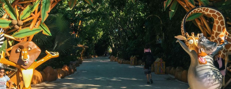 Interview with Jean: Motorcycle specialist in Madagascar