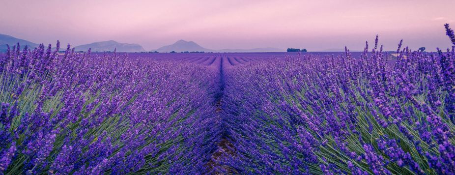 Discover Motoball: Football’s Loud, Dusty Cousin