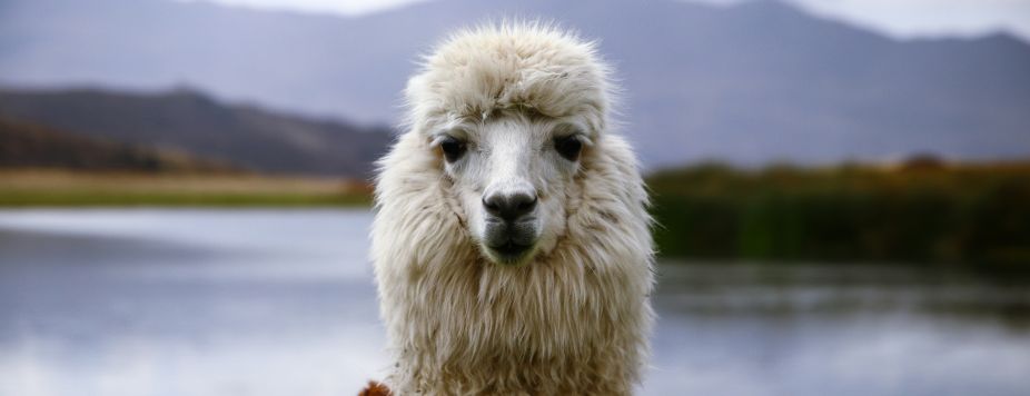 Interview with Laurent: 4x4 travel specialist in South America