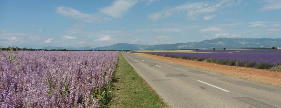 The Most Beautiful Road of the Week: France’s Jacques-Cœur Route