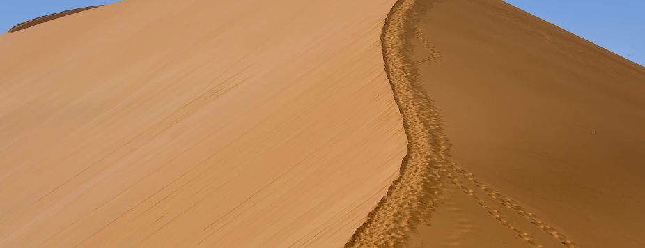 Félix’s Recommendations for an Exceptional Namibia Safari (2026)