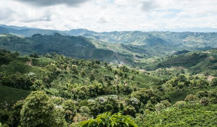 Salento - Ibagué