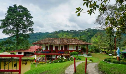 Jardín - Salamina