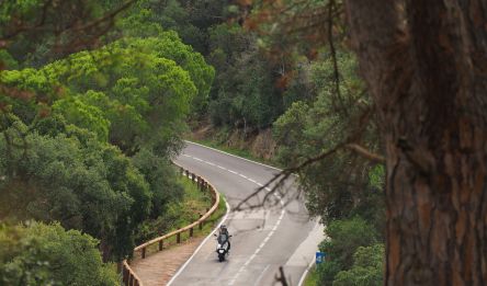 Cangas de Onís - Reinosa