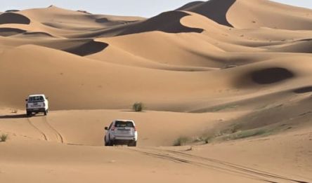 Erg Chebbi - Sidi Ali