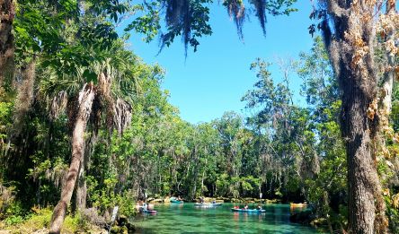 Kissimmee – Crystal River