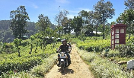 Nuwara Eliya - Ella – 1h30 driving