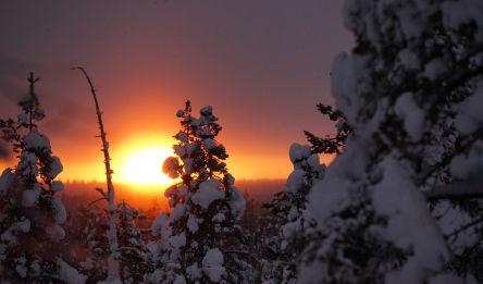 Arrivée à Ivalo