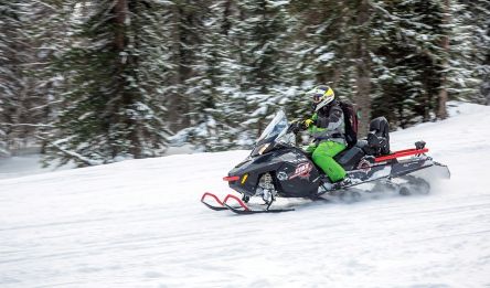 Frontière suédoise