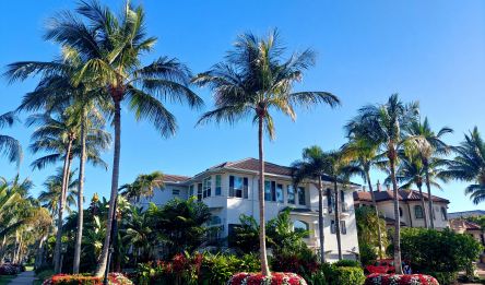 Sanibel Island – Naples
