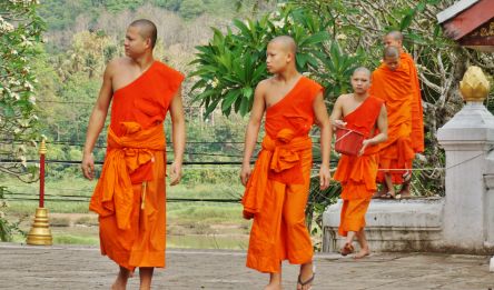 Jour 12 - Chiang Mai