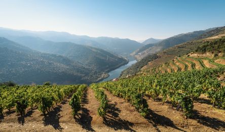 Vallée du Douro - Porto