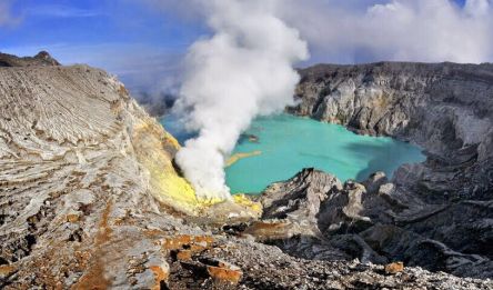 Licin - Jember