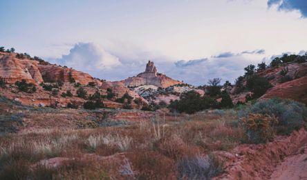 Santa Fe - Gallup