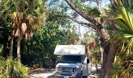 Crystal River – Fort De Soto