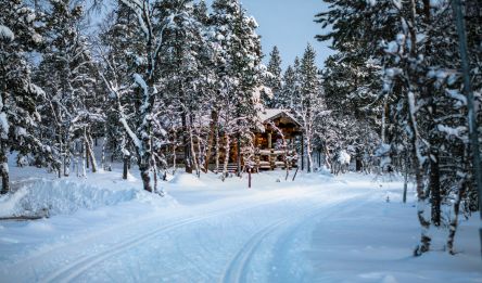 Arrivée à Ivalo