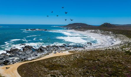 Namaqualand - Port Nolloth