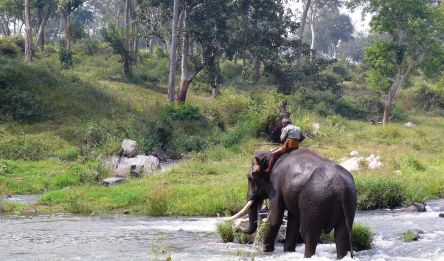 Munnar - Kodaikanal – 4h de voyage