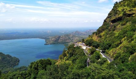 Munnar - Periyar
