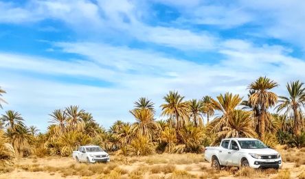 Sidi Ali - Palmeraie de Zagora