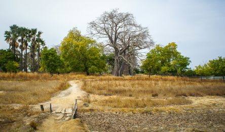 Sanyang - Kafountine