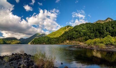Villa Pehuenia - La Baita