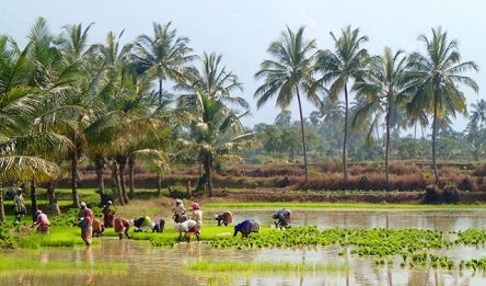 Thanjavur - Kumbakonam