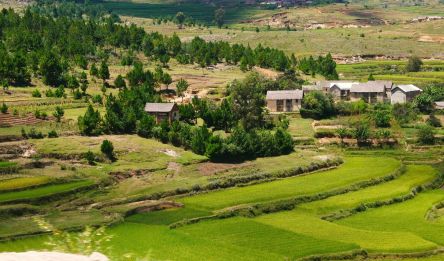 Ambositra - Ranomafana