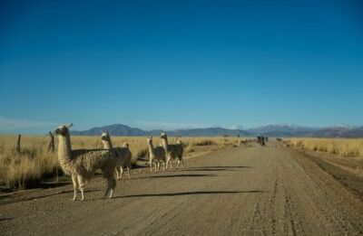 San Antonio de los Cobres - Cachi
