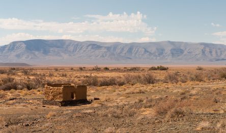 Richtersveld - Springbok