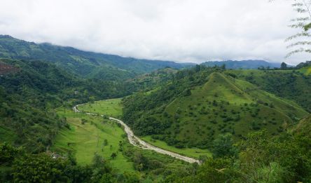 Medellín - Jardín