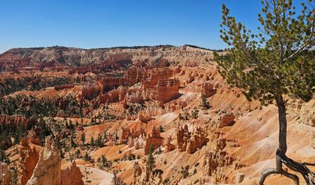 Zion National Park – Bryce Canyon National Park
