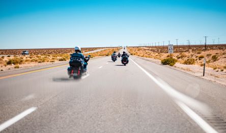 Louisville - Champaign