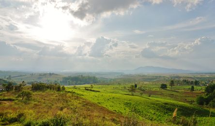 Jour 10 - Chiang Khong - Chiang Kham - 150 km