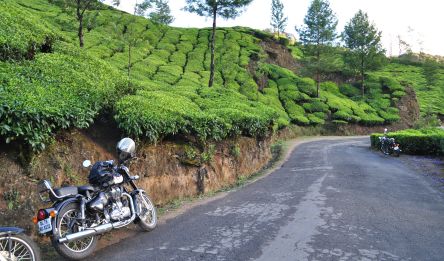 Munnar et les plantations de thé