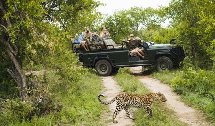 and day 4: Kruger - Marloth Park